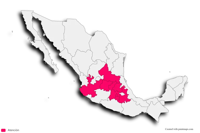 Montacargas Querétaro, CDMX, Estado de México, Puebla, Hidalgo, Guanajuato, Guadalajara, Aguascalientes, Monterrey